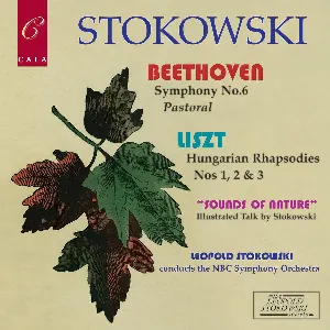 Pochette Beethoven: Symphony no. 6 / Liszt: Hungarian Rhapsodies nos. 1, 2 & 3 / “Sounds of Nature”