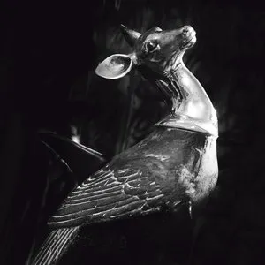 Pochette de Tri Muerti de BARST