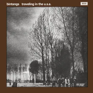 Pochette de Travellin' in the U.S.A. de Bintangs