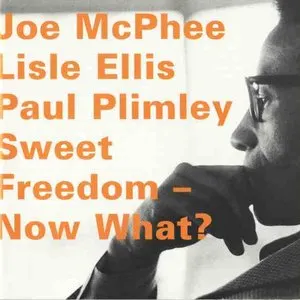 Pochette de Sweet Freedom - Now What? de Joe McPhee