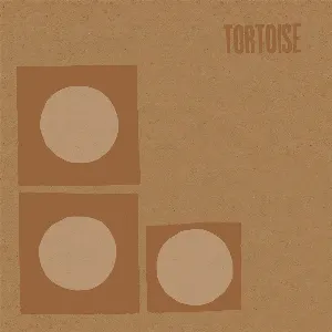Pochette Tortoise