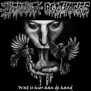 Pochette de Wat Is Hier Aan De Hand de Agathocles