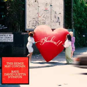 Pochette de WHERE IS MY HUSBAND! (Remix) de David Guetta - RAYE