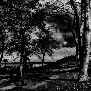 Pochette de It’s only dark in here because I am the light. de Damien De Coene