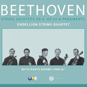 Pochette String Quintets op. 4, op. 29 & Fragments