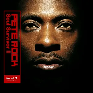 Pochette de Soul Survivor II de Pete Rock