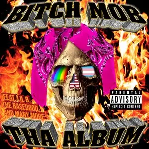 Pochette de Bitch Mob tha Album de Lil B