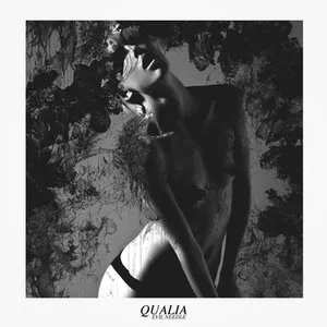 Pochette de Qualia de Evil Needle