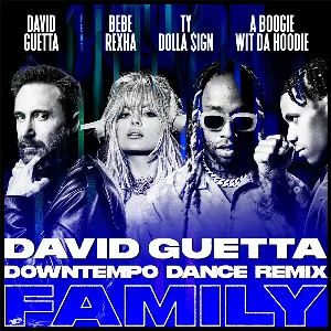 Pochette Family (David Guetta Downtempo dance remix)