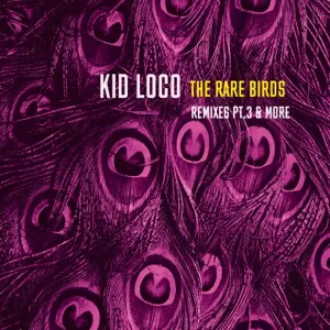 Pochette de The Rare Birds Remixes, Pt.3 & More de Kid Loco