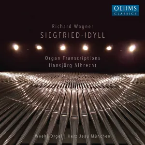 Pochette de Siegfried‐Idyll de Hansjörg Albrecht - Richard Wagner