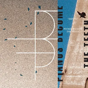 Pochette de Touché Amoré / Pianos Become the Teeth de Touché Amoré