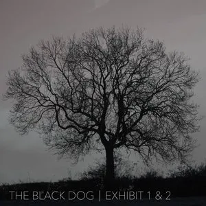 Pochette de Exhibit 1 & 2 de The Black Dog