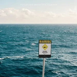Pochette de Floating with the sharks de ILIRA