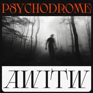 Pochette de PSYCHODROME de AWITW