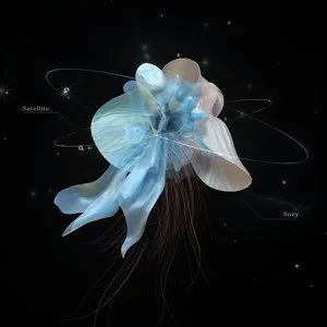 Pochette de Satellite de Suzy