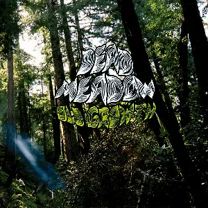 Pochette de Old Growth de Dead Meadow