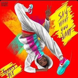 Pochette de Say What You Want de Famous Dex