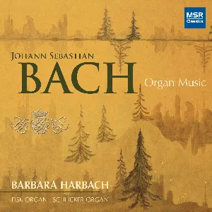 Pochette Bach - Organ Music