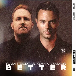 Pochette de Better de Sam Feldt
