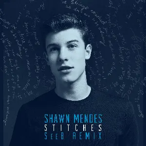 Pochette de Stitches (Seeb Remix) de Shawn Mendes
