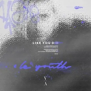 Pochette de Like You Did de Le Youth