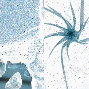 Pochette de Arctic Beats 2 de Mind over MIDI