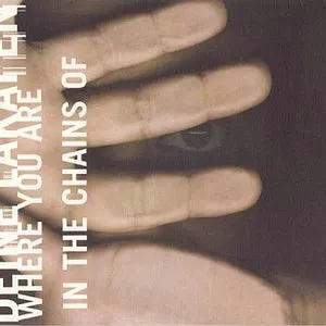 Pochette Where You Are / In the Chains Of
