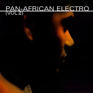 Pochette de Pan-African Electro (Vol. 2) de Jerome Sydenham