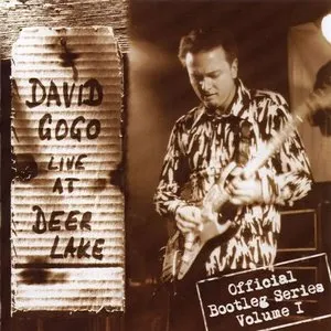 Pochette de Live at Deer Lake de David Gogo