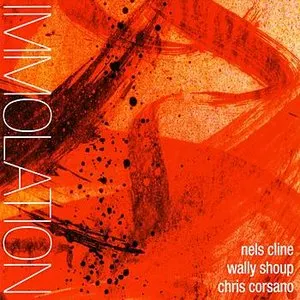 Pochette de Immolation/Immersion de Nels Cline - Chris Corsano