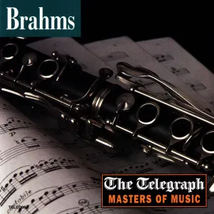 Pochette de Brahms de Johannes Brahms