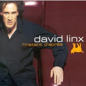 Pochette de L'instant d'après de David Linx