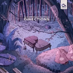 Pochette de Directions de Blue Wednesday