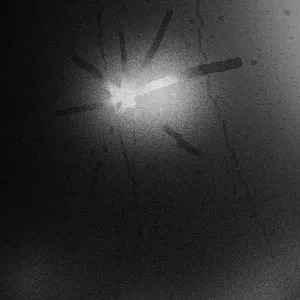 Pochette de Hal Ashby de Touché Amoré