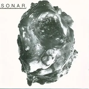 Pochette de Sonar de Sonar