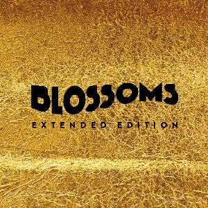 Pochette de Blossoms de Blossoms
