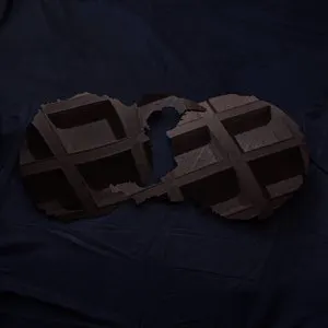 Pochette Dirty Projectors