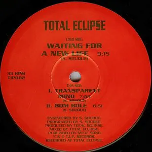 Pochette de Waiting for a New Life de Total Eclipse