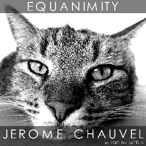 Pochette de Equanimity de Jérôme Chauvel