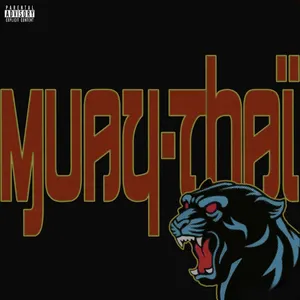 Pochette de Muay Thaï de Booba