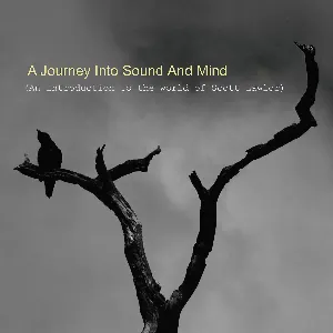 Pochette de A Journey Into Sound and Mind: An Introduction to the World of Scott Lawlor de Scott Lawlor