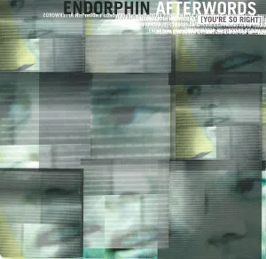 Pochette de Afterwords (You’re So Right) de Endorphin