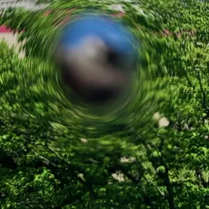 Pochette de Oroka Na Kaze (Böswilliger Rat) de Ueda Takayasu