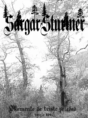 Pochette de Momento de triste soledad de SargarSturmer
