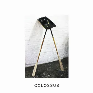Pochette de Colossus de IDLES