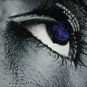 Pochette de The Book of Invasions: A Celtic Symphony de Horslips