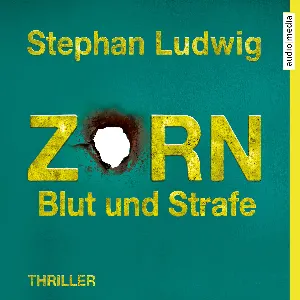 Pochette de Zorn: Blut und Strafe de David Nathan