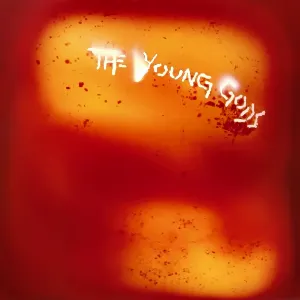 Pochette de L’eau rouge de The Young Gods