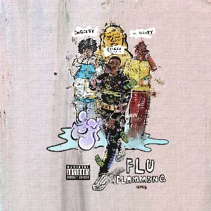 Pochette de Flu Flamming (remix) de Drakeo the Ruler